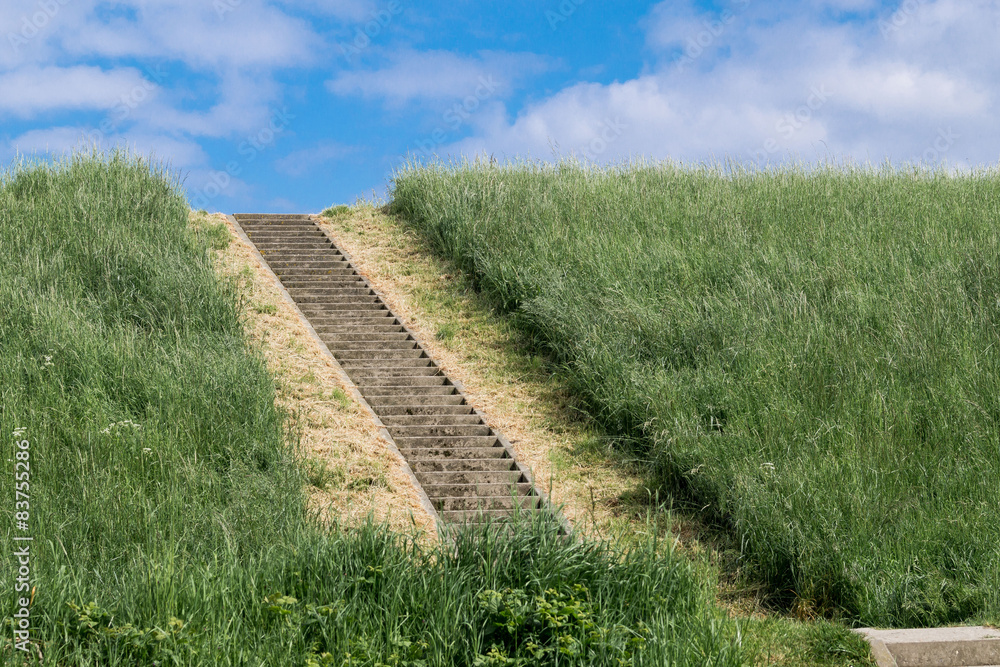 Obraz premium Deich- Scheldeteich