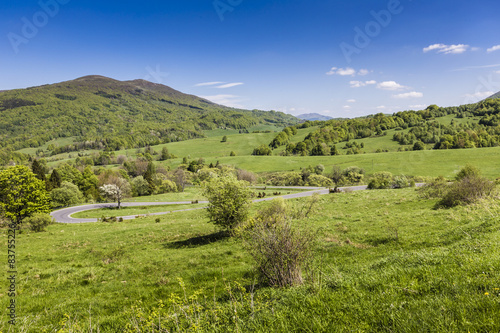 Fototapeta Naklejka Na Ścianę i Meble -  Mountains scenery. Panorama of grassland and forest in Bieszczad