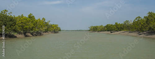 The Sundarbans photo