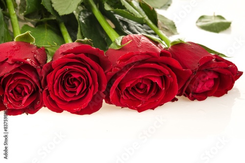 Red Roses