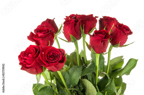  Red Roses