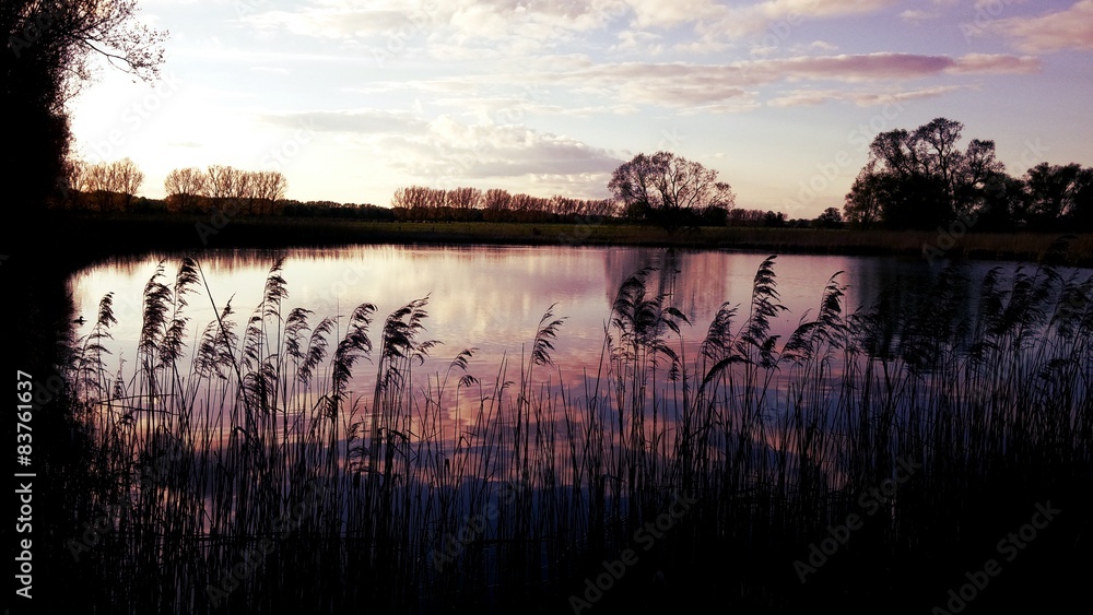 Naklejka premium Summer and Water