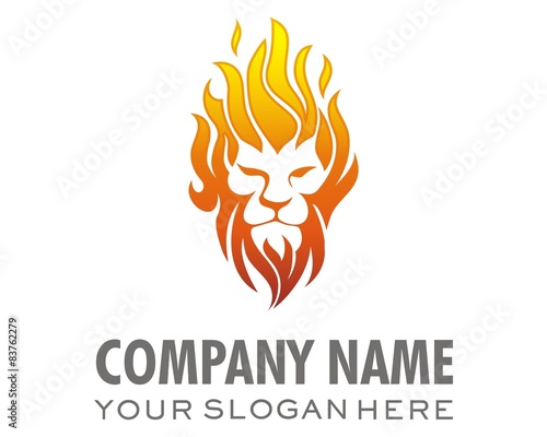 Fototapeta Naklejka Na Ścianę i Meble -  lion-headed fire logo image vector