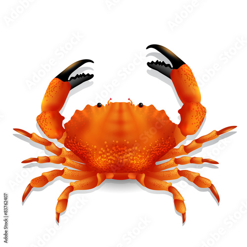Red crab.