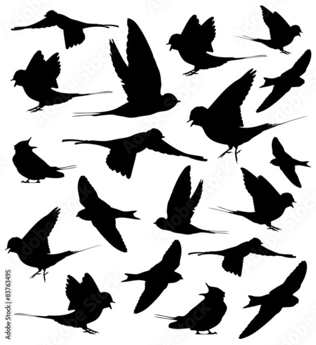 Barn swallow set silhouettes