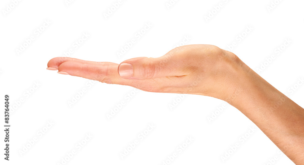 Female Hands