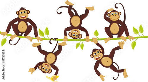 Cheerful monkeys frolic on a vine