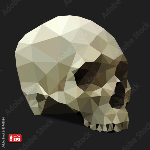 Human Skull in a Triangular Style.