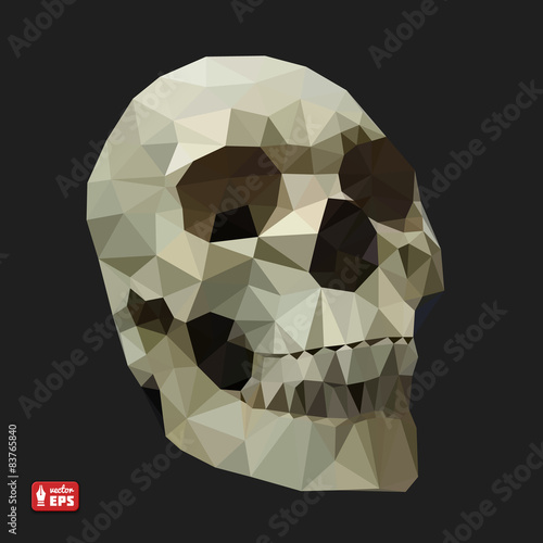 Human Skull in a Triangular Style.