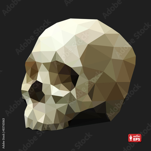 Human Skull in a Triangular Style.
