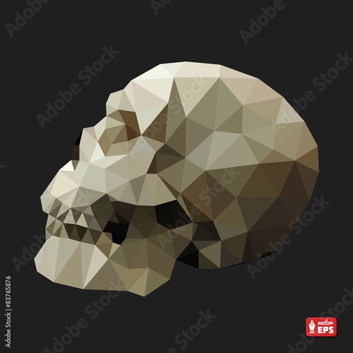 Human Skull in a Triangular Style.
