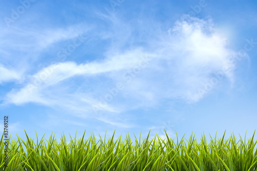 Fototapeta Naklejka Na Ścianę i Meble -  Grass grass under blue sky and clouds