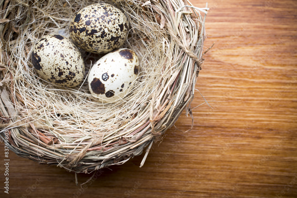 Quail eggs. Easter greeting card. Quail eggs. Easter greeting card.