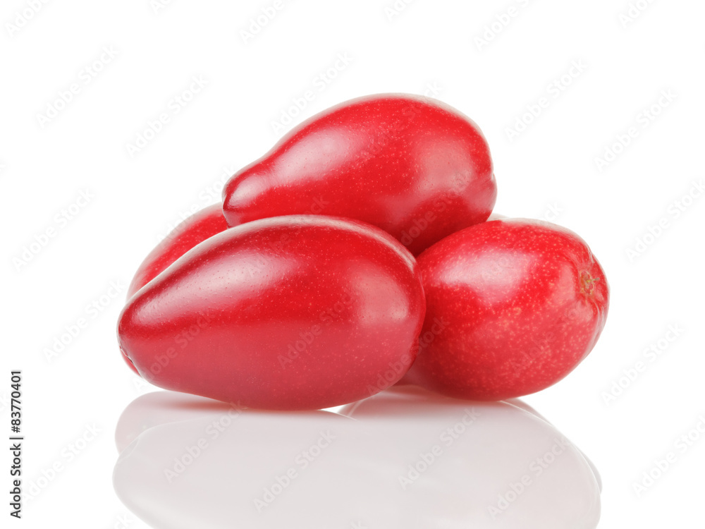 fresh bogwood berries isolated on white fresh bogwood berries isolated on white