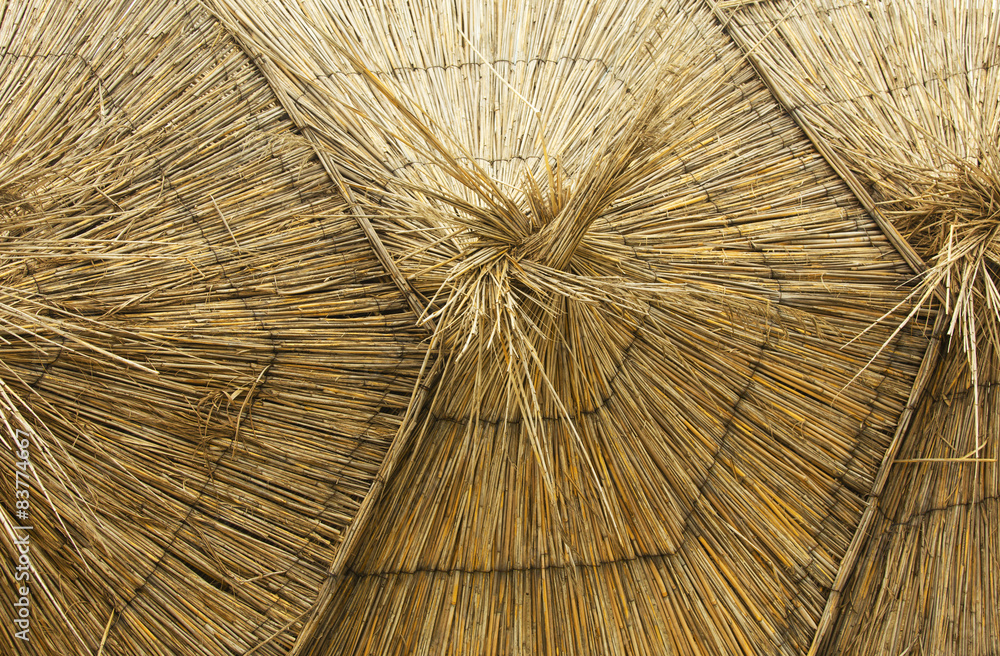 Thatched umbrellas on the beach