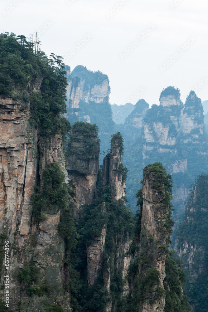 Fototapeta premium Zhangjiajie National Park, China.
