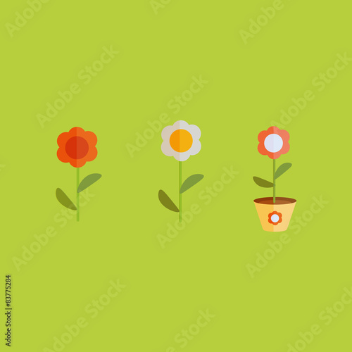 flat flowers