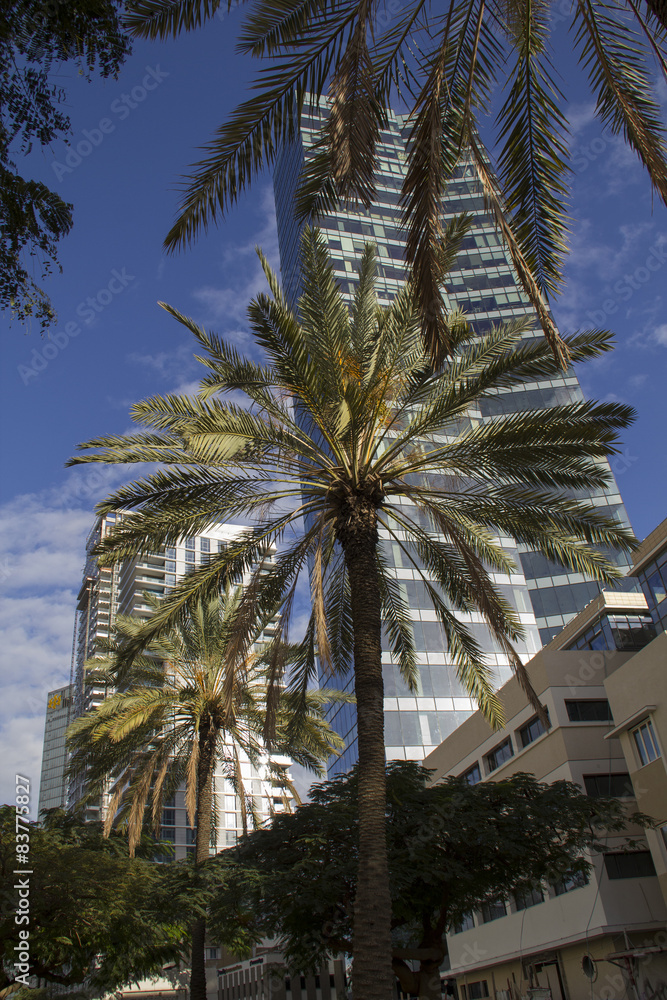 Modern Buildings in Rotshild Boulevard Of Tel Aviv. Israel