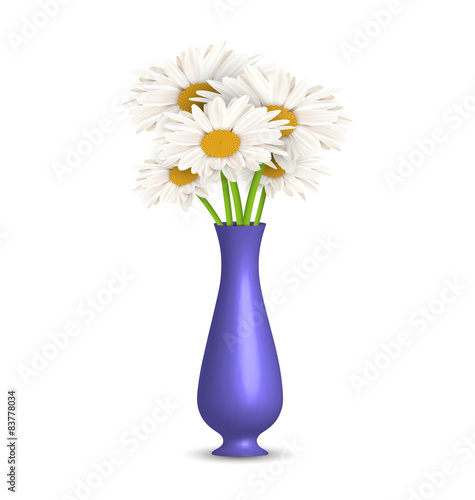 Chamomiles in vase isolated on white background © Makkuro_GL