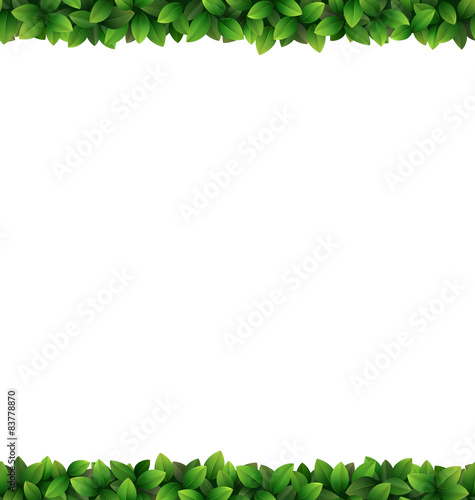 Green leaves frame isolated on white background