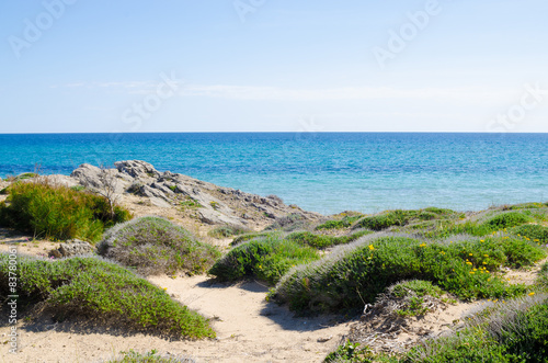 macchia mediterranea e mare blu del salento