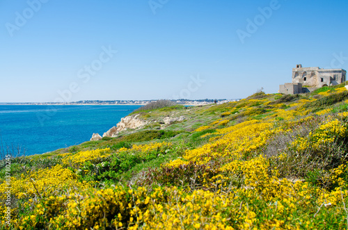 torre saracena con macchia mediterranea