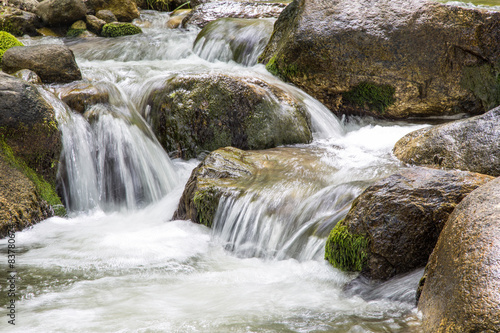 Nature landscape with trees and river