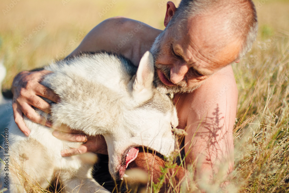 Old man plays with his dog Siberian Husky. Active recreation. Old man plays with his dog Siberian Husky. Active recreation.