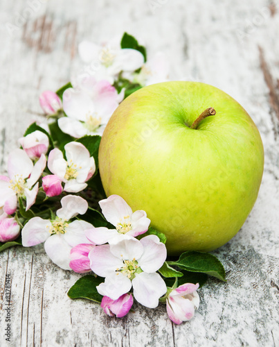 apple and apple tree blossoms