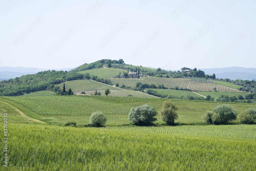 Agricultural landscape in Tuscany, Italy