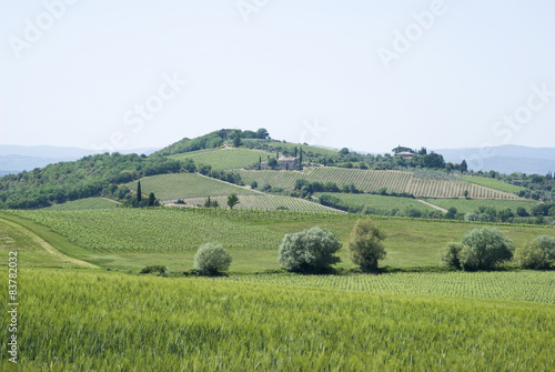 Agricultural landscape in Tuscany  Italy