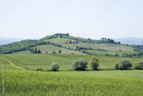 Agricultural landscape in Tuscany, Italy © Dmytro Surkov