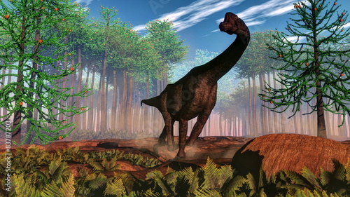 Fototapeta Naklejka Na Ścianę i Meble -  Brachiosaurus dinosaur - 3D render