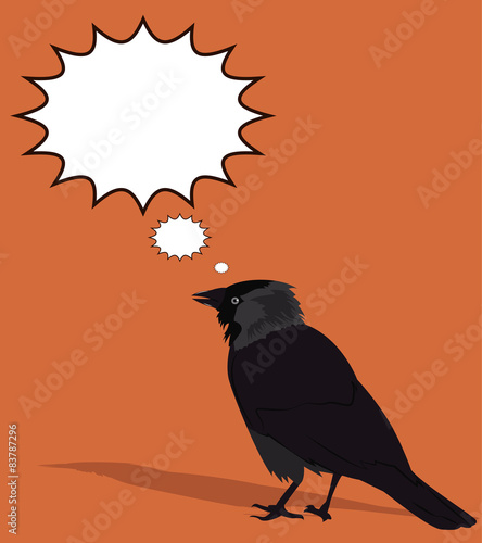 Frame with jackdaw