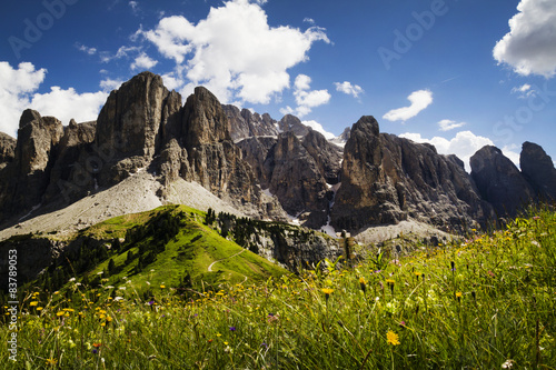 Canvas Print Blooming meadow in the Dolomites