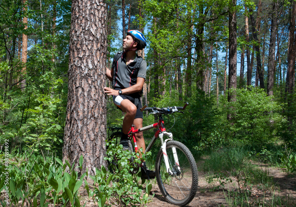 Cyclist leaning on pine tree in a beautiful spring forest. Cyclist leaning on pine tree in a beautiful spring forest.