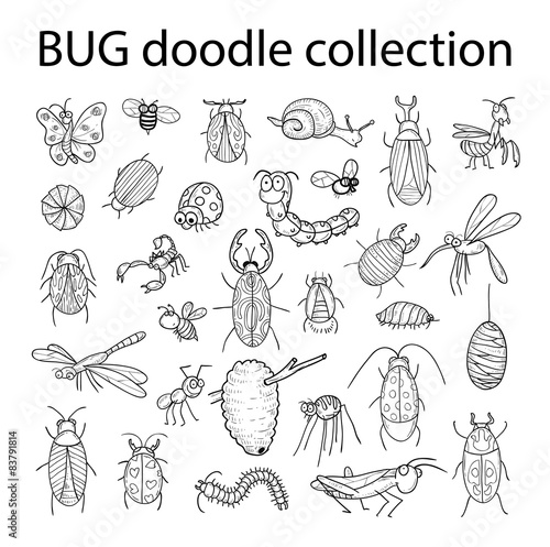 cartoon insect bug icon, vector illustration.
