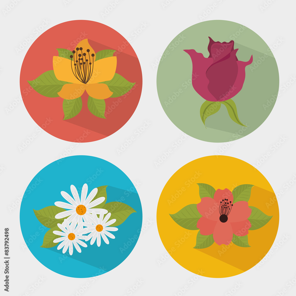 Flowers design. Flowers design.