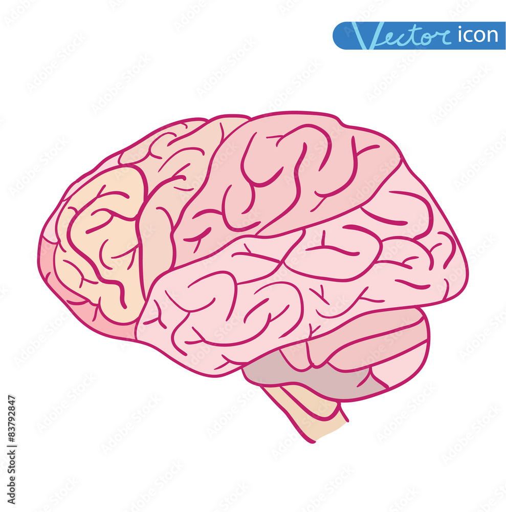 Human brain icon, vector illustration Human brain icon, vector illustration