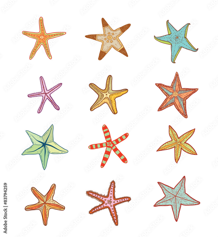 icon Starfishes set.hand drawn Vector Illustration icon Starfishes set.hand drawn Vector Illustration