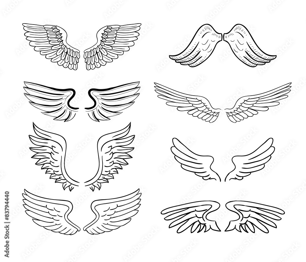 Fototapeta premium wings set, vector illustrations.