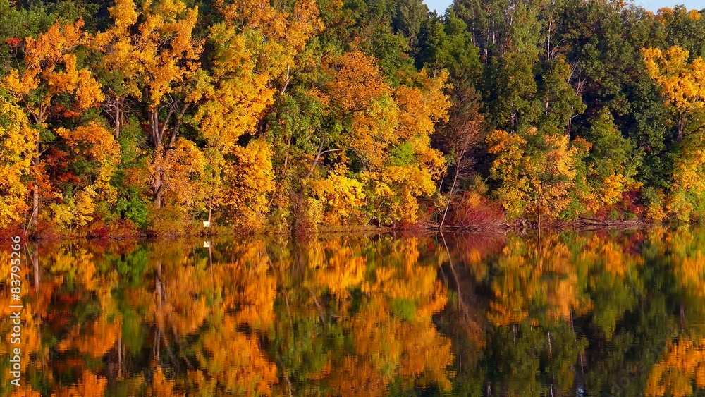Autumn Colors, Trees Reflected in Calm, Flowing River Autumn Colors, Trees Reflected in Calm, Flowing River