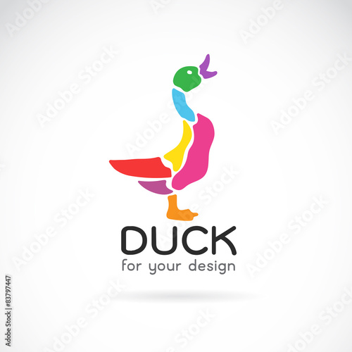 Vector image of a duck design on white background