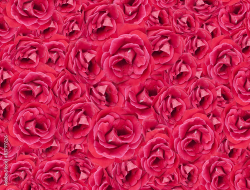 Pink Roses background red