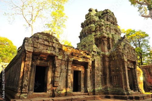 Angkor Ta Prohm Temple of Cambodia