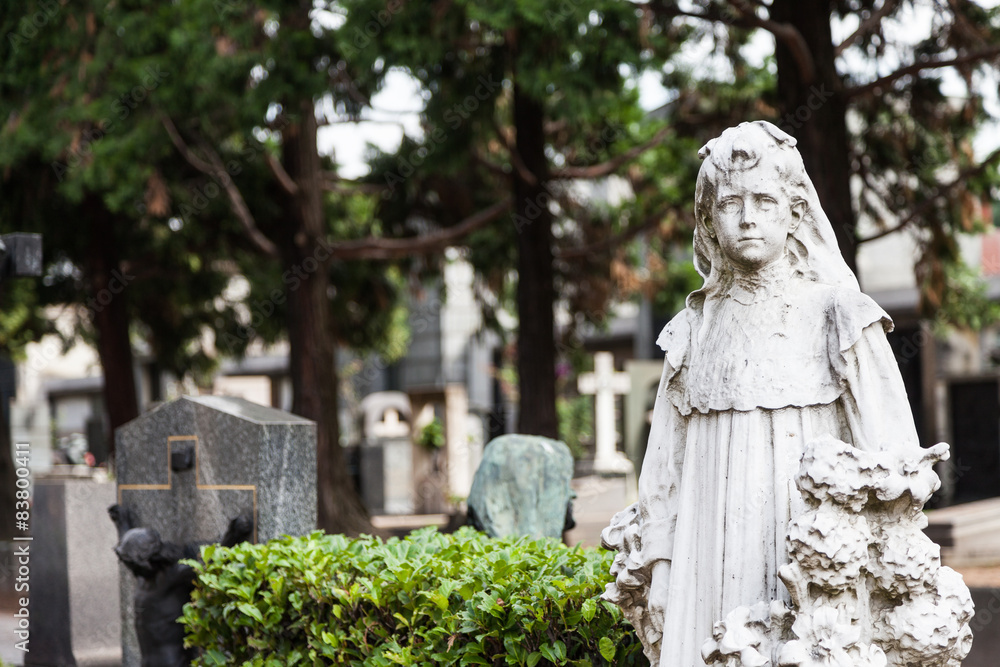 Obraz premium Old Cemetery statue