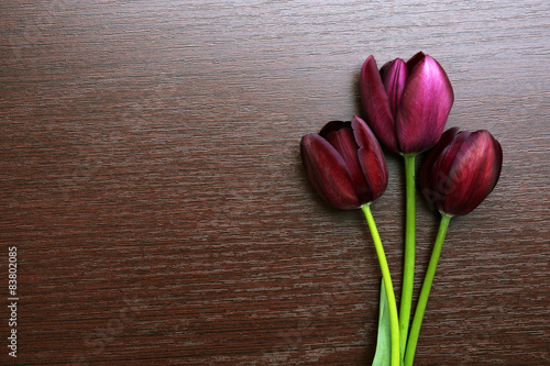 Fototapeta Naklejka Na Ścianę i Meble -  Beautiful violet tulips on wooden background