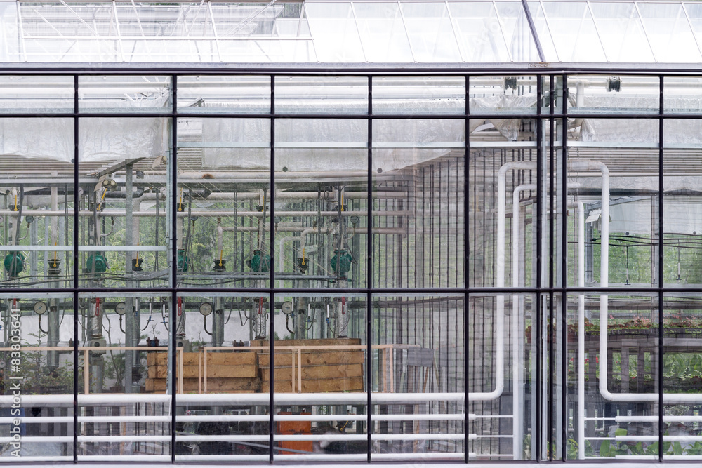 transparent glass wall of greenhouse