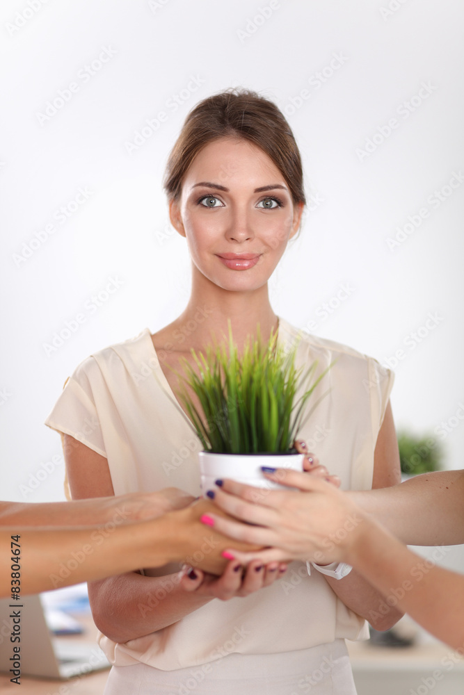 Beautiful woman holding pot with a plant, standing Beautiful woman holding pot with a plant, standing