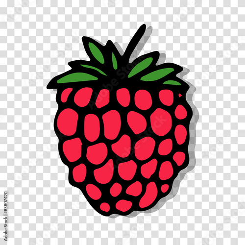 Raspberry sketch on transparent background for your design